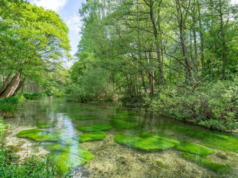 An Exceptional English Country Estate