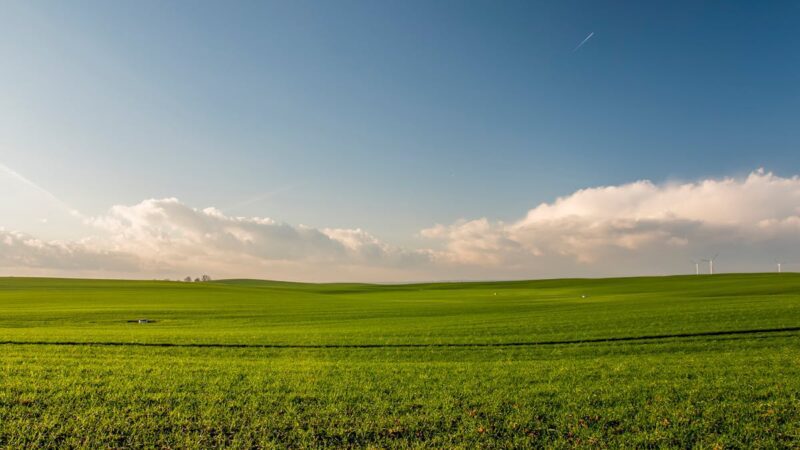 How to Buy a Farm in the UK