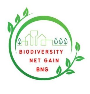 BNG Logo