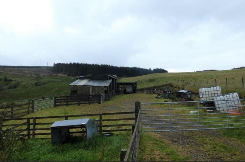 Knockenlee Farm