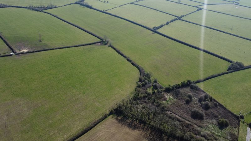 Agricultural Land